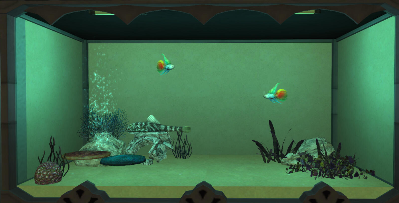 Lower left tank: Pixel Loach, The Unconditional x2